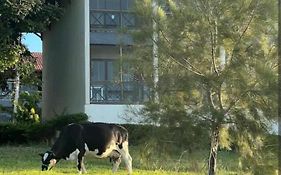 Flat Monte Castelo Gravatá 2 Quartos Condomio Ao lado da Fazendinha